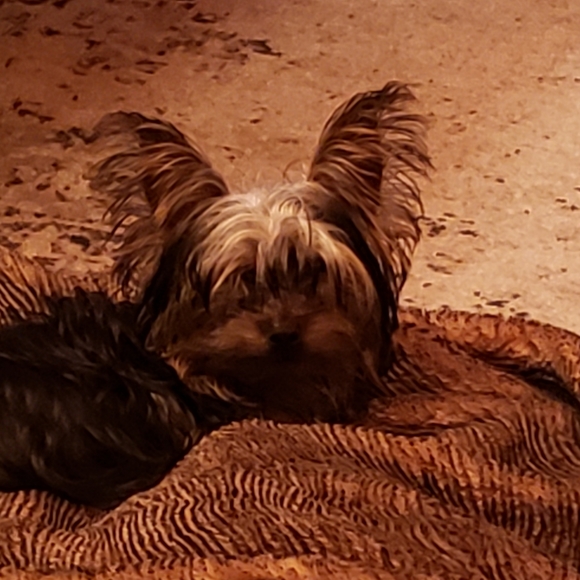 Meet your Posher, Marte - Picture 7 of 8